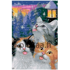 Maalaa numeroilla A454