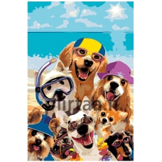 Maalaa numeroilla A457