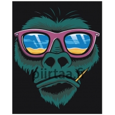 Maalaa numeroilla A466