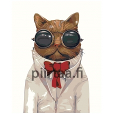 Maalaa numeroilla A496