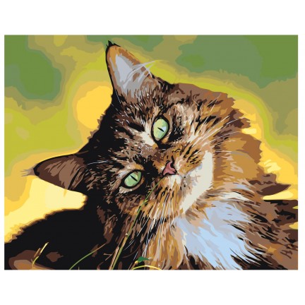 Maalaa numeroilla A500