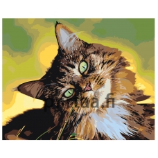 Maalaa numeroilla A500