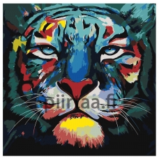 Maalaa numeroilla A505