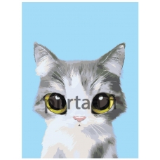 Maalaa numeroilla A508