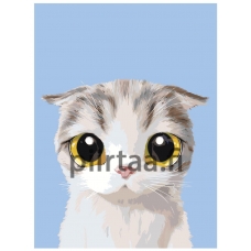 Maalaa numeroilla A509