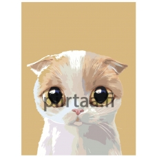 Maalaa numeroilla A511