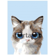 Maalaa numeroilla A512