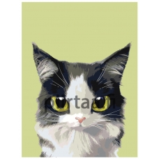 Maalaa numeroilla A513