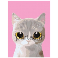 Maalaa numeroilla A519