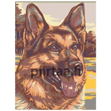 Maalaa numeroilla A52