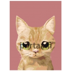 Maalaa numeroilla A544