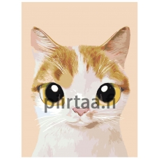 Maalaa numeroilla A549