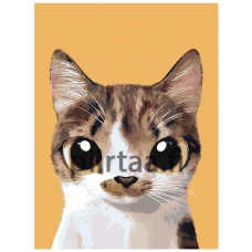 Maalaa numeroilla A550