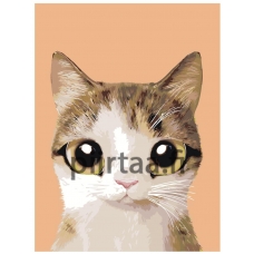 Maalaa numeroilla A551