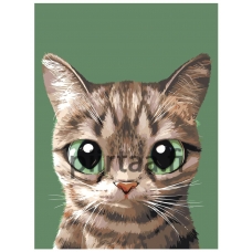 Maalaa numeroilla A552