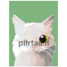 Maalaa numeroilla A553