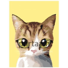 Maalaa numeroilla A554