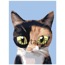 Maalaa numeroilla A555