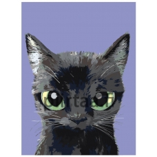 Maalaa numeroilla A556