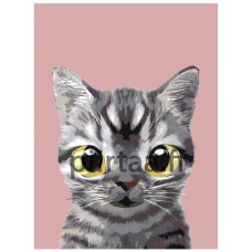 Maalaa numeroilla A557