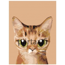 Maalaa numeroilla A561