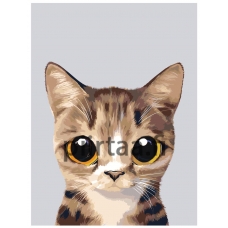 Maalaa numeroilla A562