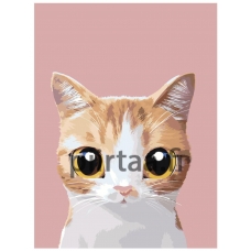 Maalaa numeroilla A563