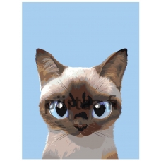 Maalaa numeroilla A564