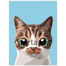 Maalaa numeroilla A565