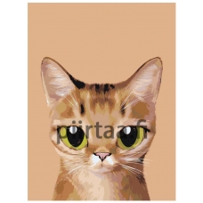 Maalaa numeroilla A566