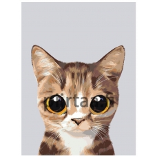 Maalaa numeroilla A567