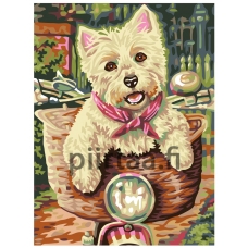 Maalaa numeroilla A56