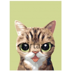 Maalaa numeroilla A571