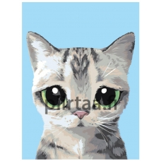 Maalaa numeroilla A572