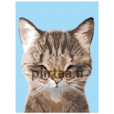 Maalaa numeroilla A574