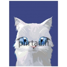 Maalaa numeroilla A576