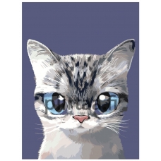 Maalaa numeroilla A577