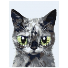 Maalaa numeroilla A578