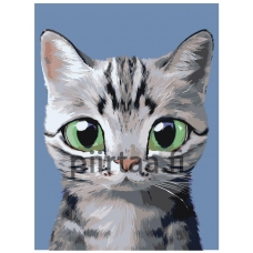 Maalaa numeroilla A579