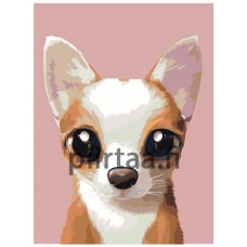 Maalaa numeroilla A581