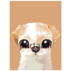 Maalaa numeroilla A582