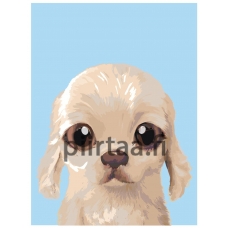 Maalaa numeroilla A583