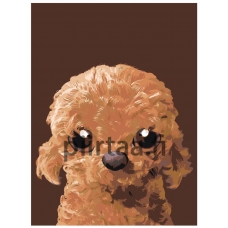 Maalaa numeroilla A586