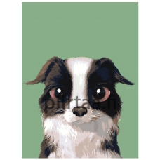 Maalaa numeroilla A587