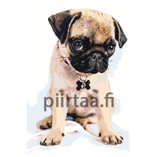 Maalaa numeroilla A594