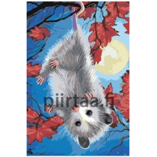 Maalaa numeroilla A596