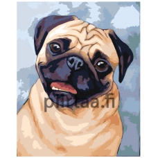 Maalaa numeroilla A597