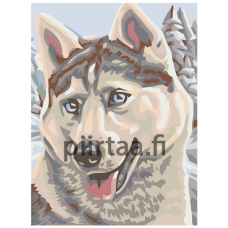 Maalaa numeroilla A59