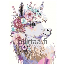 Maalaa numeroilla A5II-30AF048