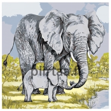 Maalaa numeroilla A5II-40AF035